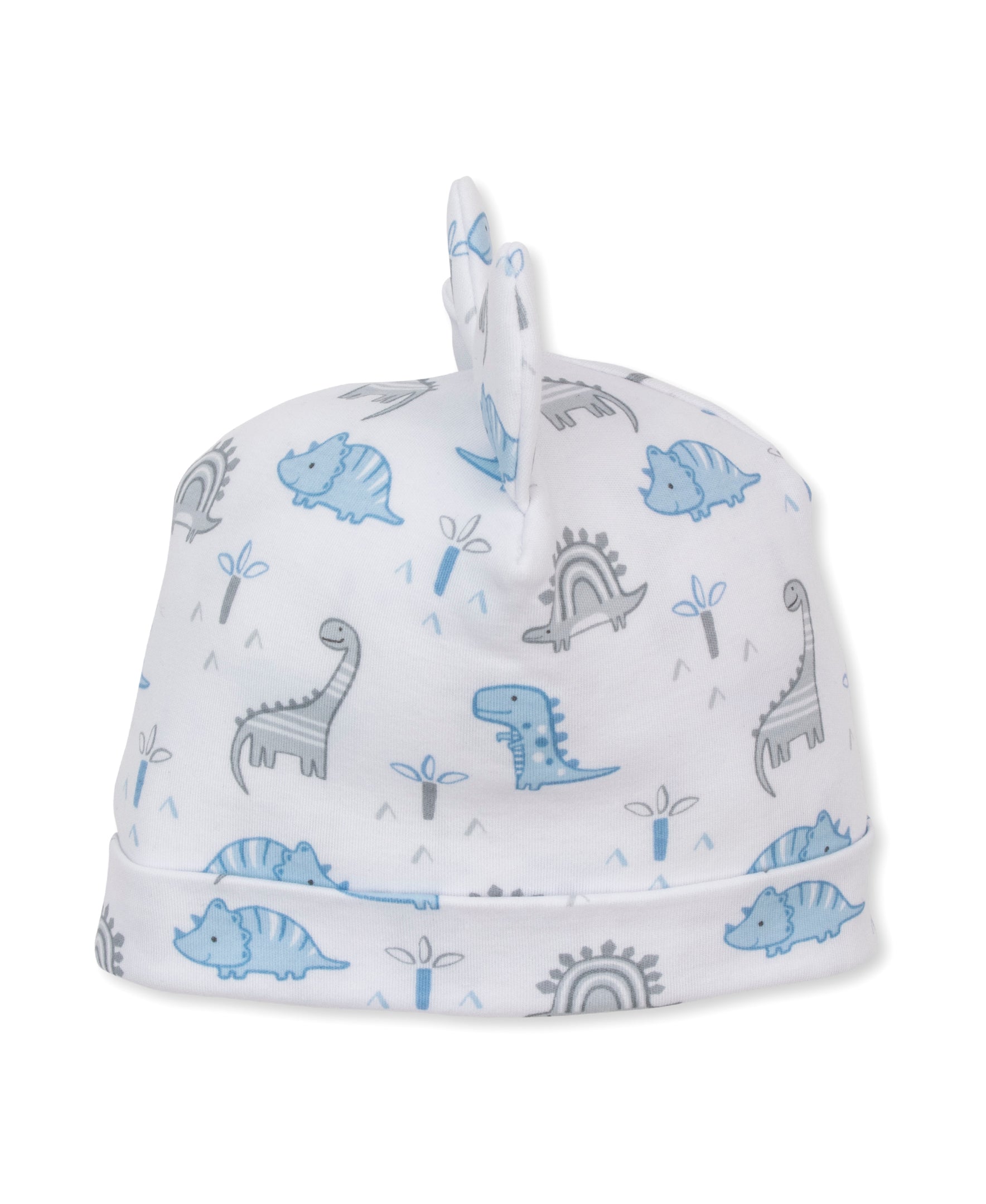 Dinosaur Territory Novelty Hat
