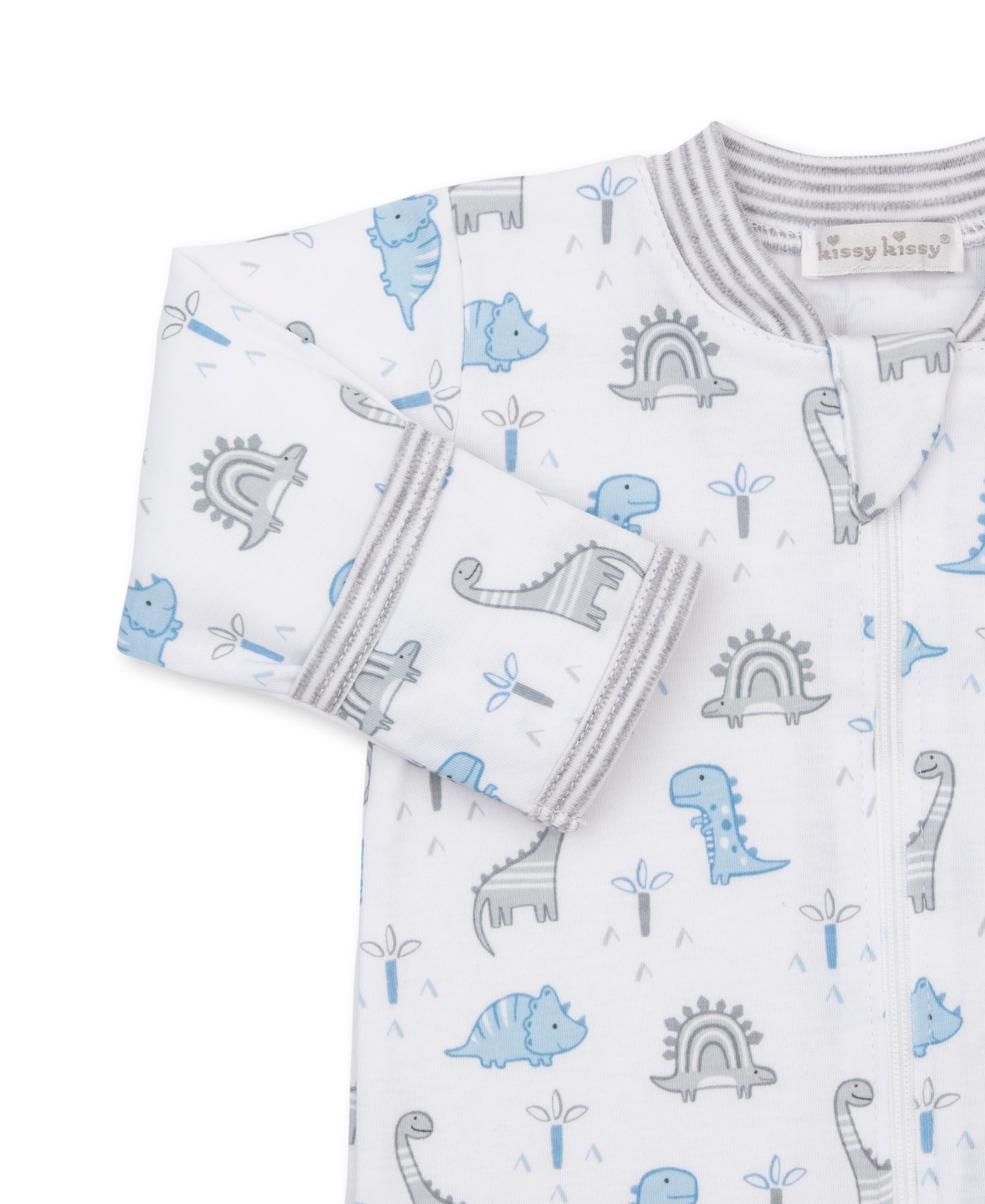 Dinosaur Territory Zip Footie