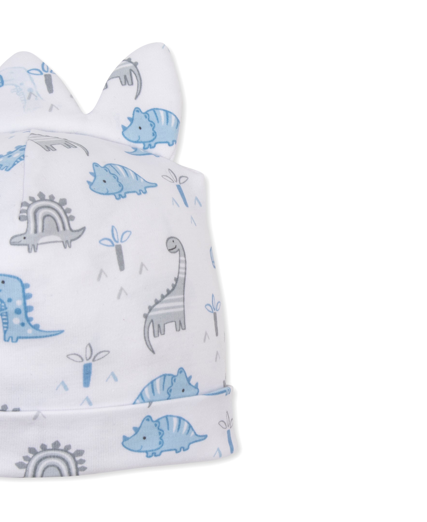 Dinosaur Territory Novelty Hat